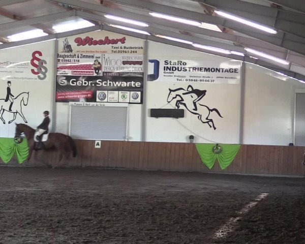 Reitturnier Dohren 2018
