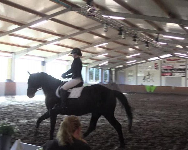 Reitturnier Dohren 2018