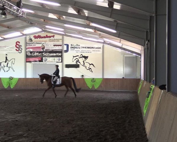 Reitturnier Dohren 2018