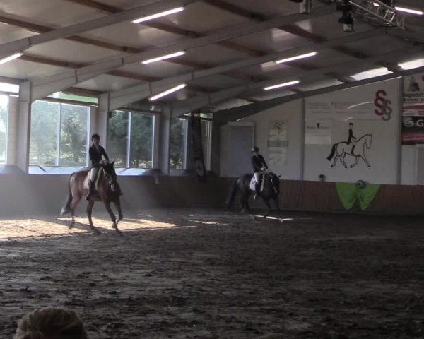 Reitturnier Dohren 2018
