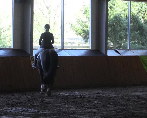 Reitturnier Dohren 2018