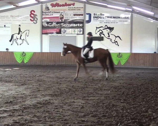 Reitturnier Dohren 2018