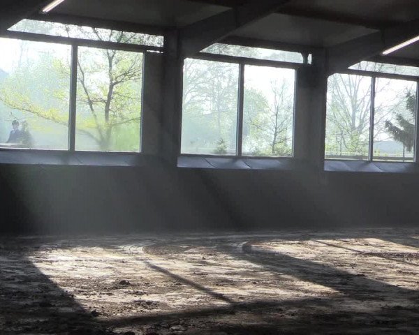 Reitturnier Dohren 2018