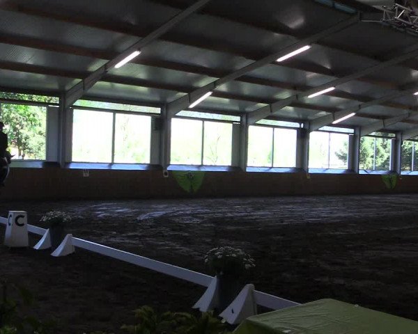 Reitturnier Dohren 2018