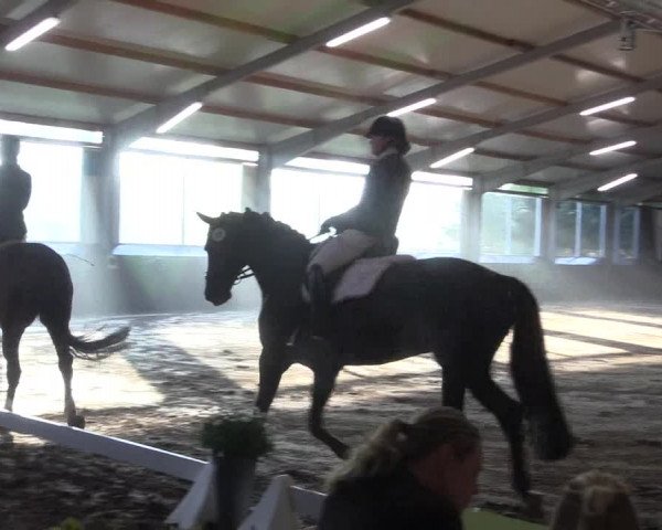 Reitturnier Dohren 2018
