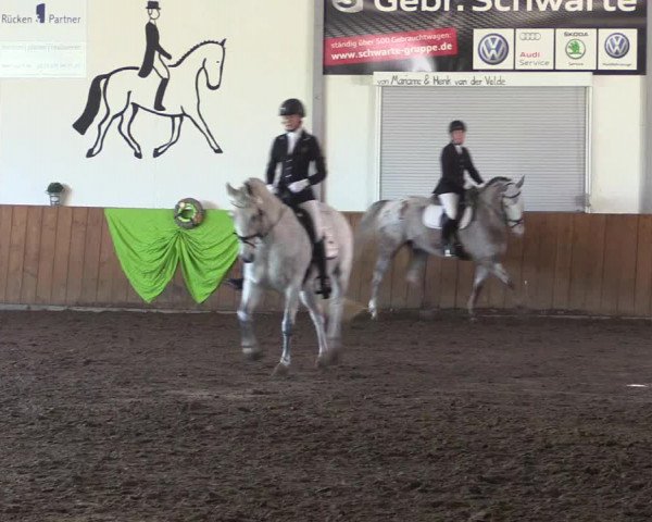 Reitturnier Dohren 2018