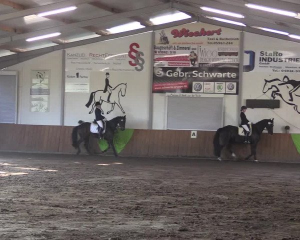Reitturnier Dohren 2018