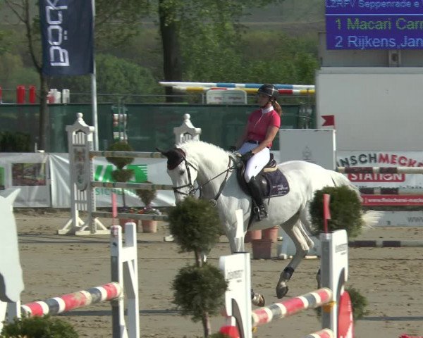 Lenklarer Reitertage 2018
