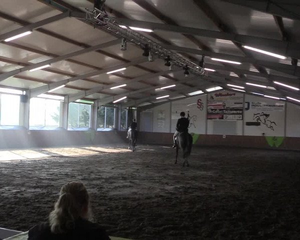 Reitturnier Dohren 2018