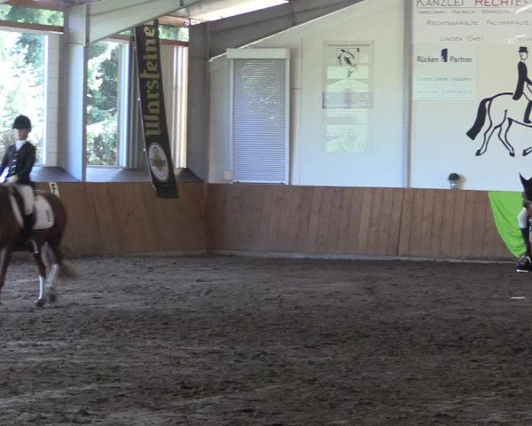 Reitturnier Dohren 2018