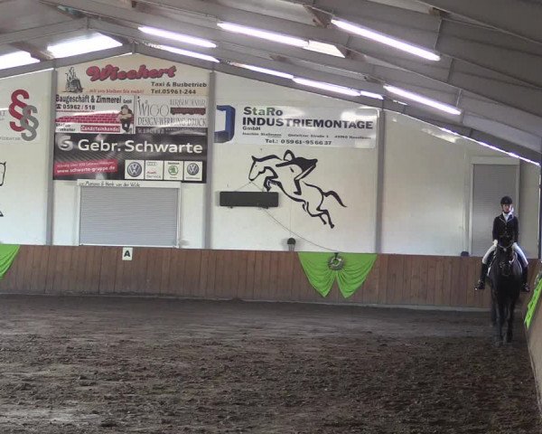 Reitturnier Dohren 2018