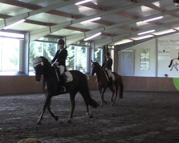 Reitturnier Dohren 2018