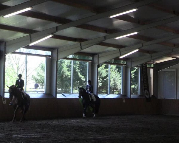Reitturnier Dohren 2018