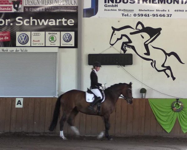 Reitturnier Dohren 2018
