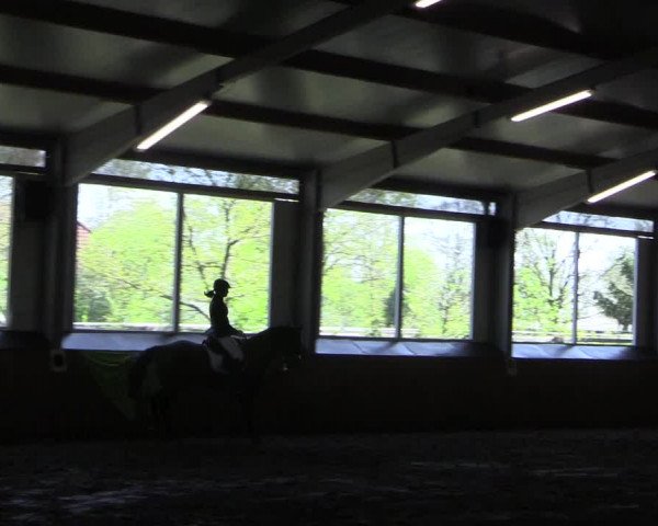 Reitturnier Dohren 2018