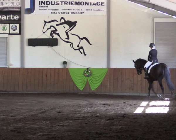 Reitturnier Dohren 2018
