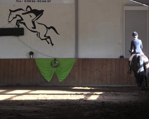 Reitturnier Dohren 2018