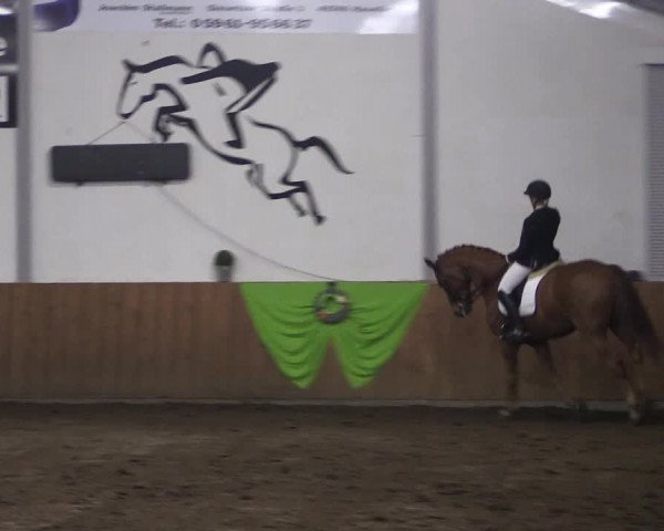 Reitturnier Dohren 2018