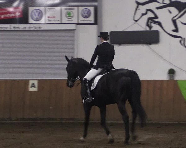 Reitturnier Dohren 2018
