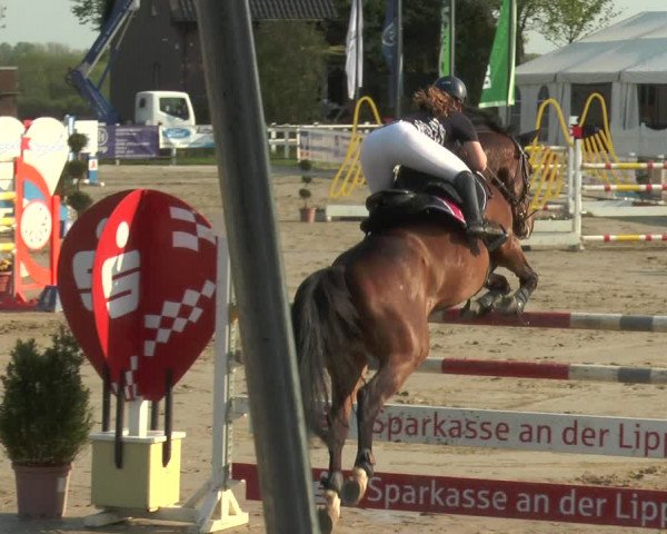 Reitturnier Werne-Lenklar 2018