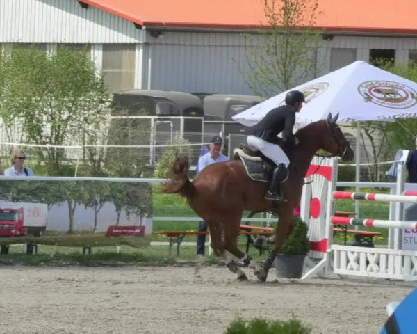 Reitturnier Langenau 2018