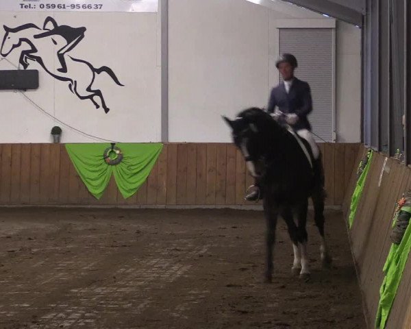 Reitturnier Dohren 2018