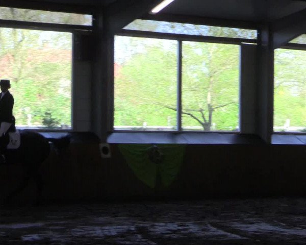 Reitturnier Dohren 2018