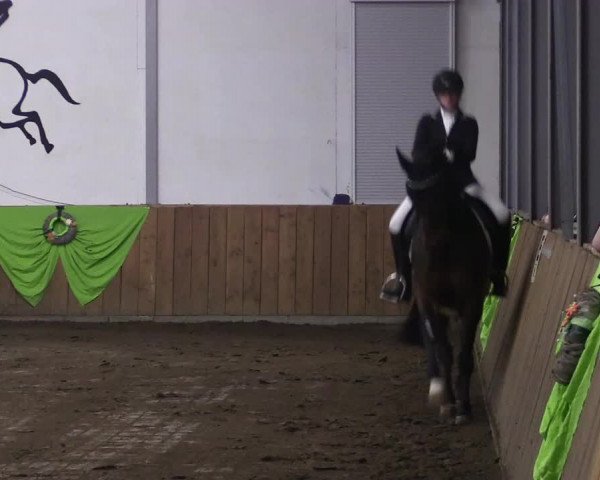 Reitturnier Dohren 2018