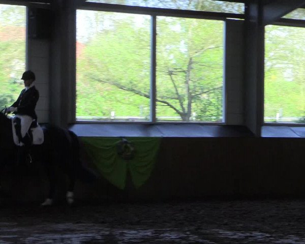 Reitturnier Dohren 2018