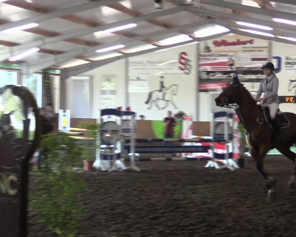Reitturnier Dohren 2018