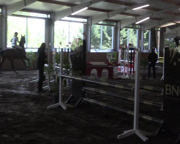 Reitturnier Dohren 2018