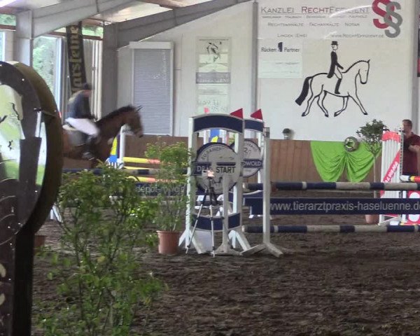 Reitturnier Dohren 2018