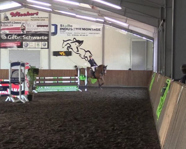 Reitturnier Dohren 2018