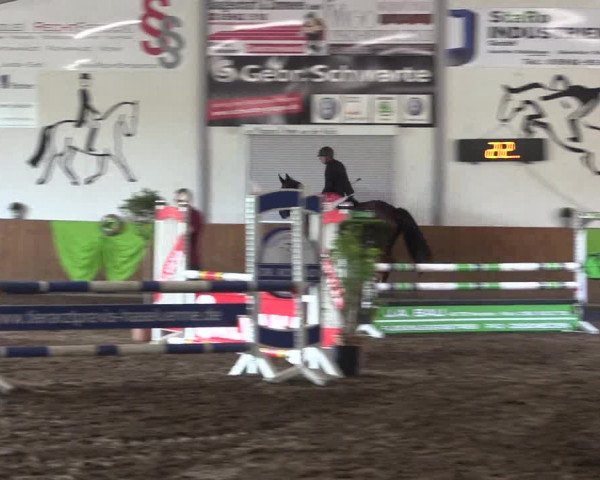 Reitturnier Dohren 2018