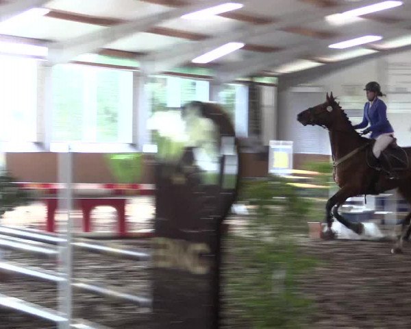 Reitturnier Dohren 2018