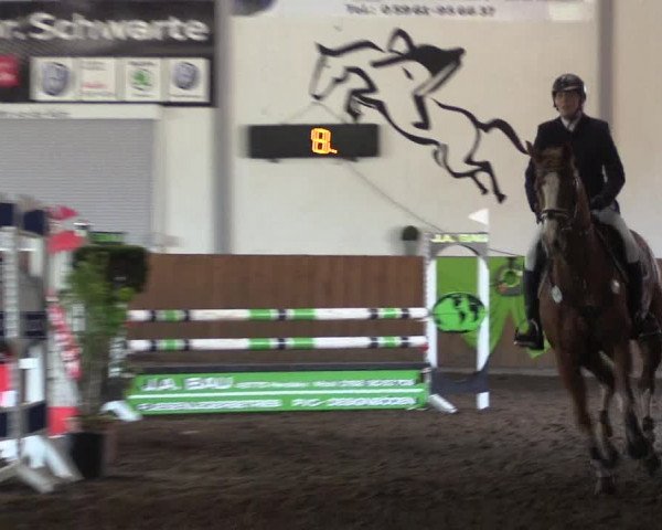 Reitturnier Dohren 2018