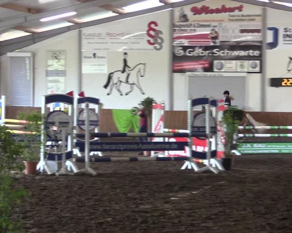 Reitturnier Dohren 2018