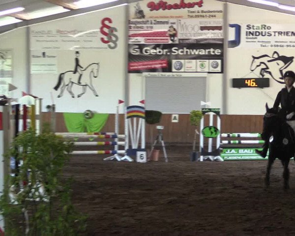 Reitturnier Dohren 2018