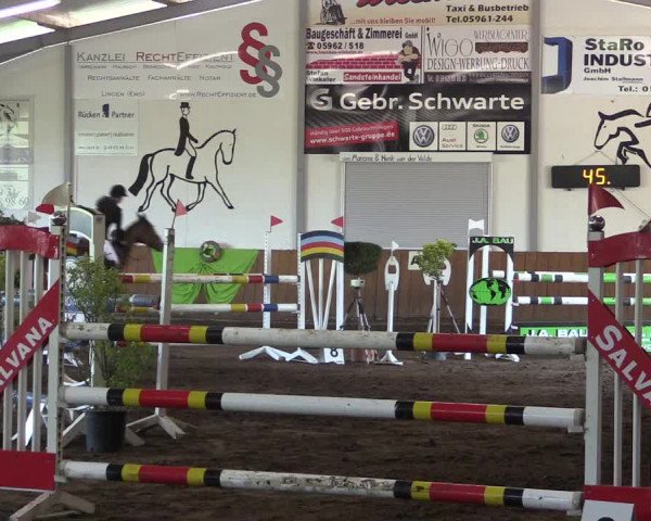 Reitturnier Dohren 2018
