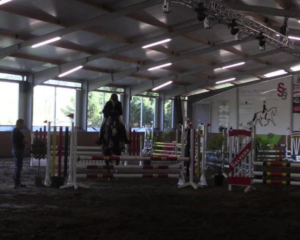Reitturnier Dohren 2018
