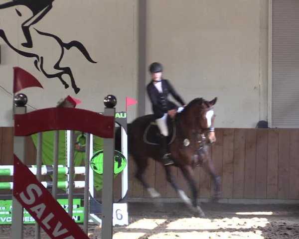Reitturnier Dohren 2018