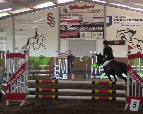 Reitturnier Dohren 2018