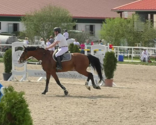 Reitturnier Langenau 2018