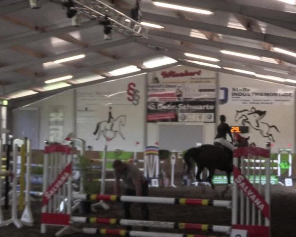 Reitturnier Dohren 2018
