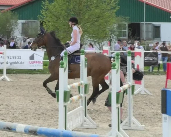 Reitturnier Langenau 2018