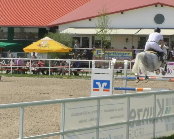 Reitturnier Langenau 2018