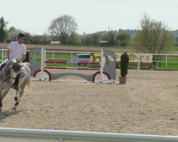Reitturnier Langenau 2018
