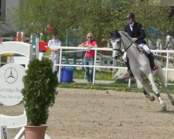 Reitturnier Langenau 2018