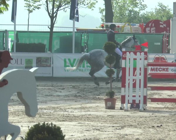 Lenklarer Reitertage 2018