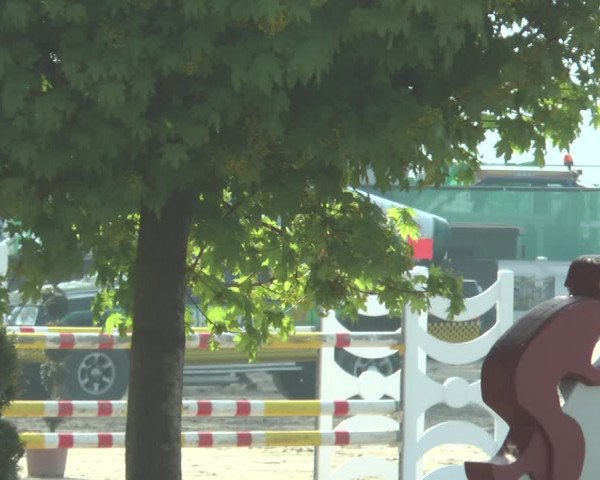 Lenklarer Reitertage 2018